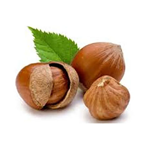 Hazelnut.jpg