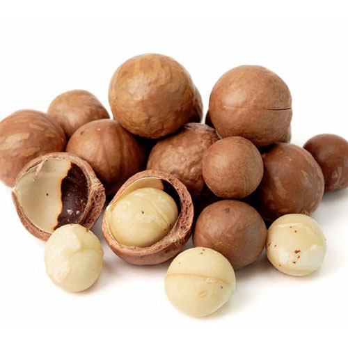 Macadamia-Nuts.jpg