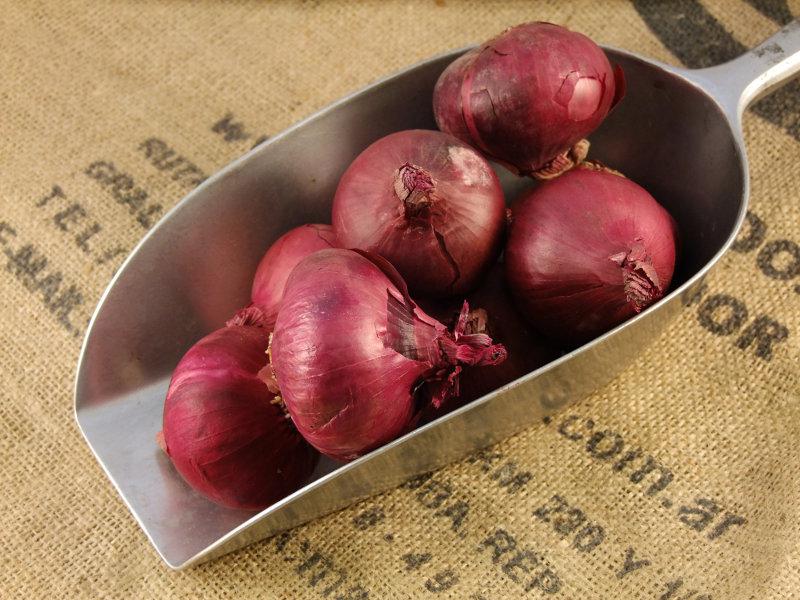 Onion.jpg