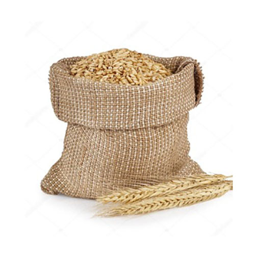 Wheat-grain.jpg