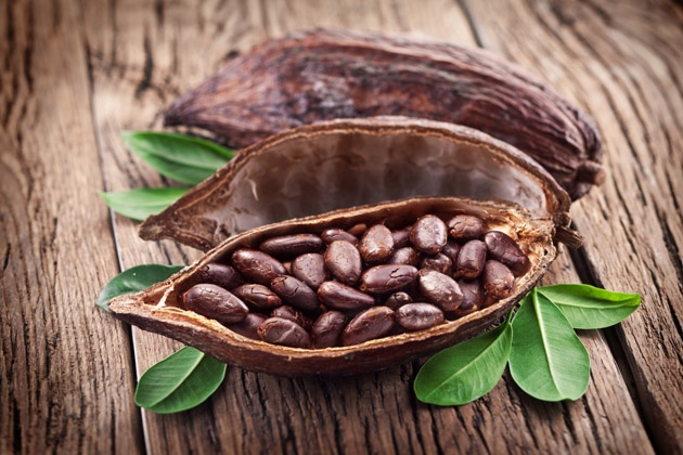 cocoa-bean.jpg