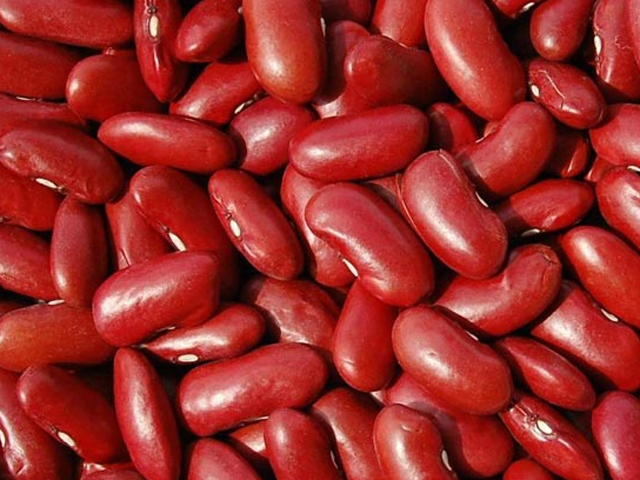 kidneybeans.jpg