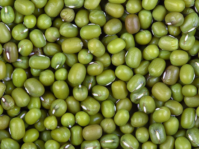 mungbeans.jpg