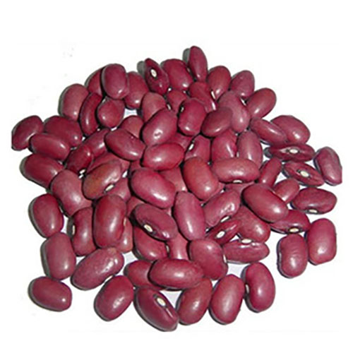 red-kidney-beans-pinto-beans-sugar-beans.jpg_300x300.jpg
